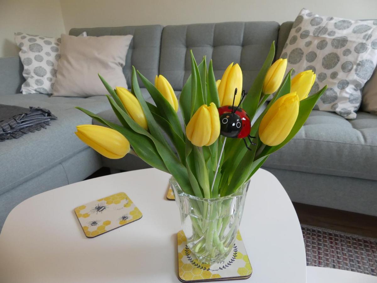 Ferienwohnung Suenteltraum Hamelin Luaran gambar
